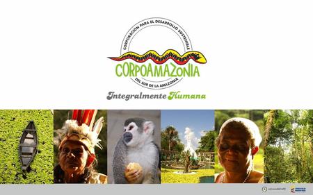 Corpoamazonia Integralmente Humana” CLAUDIA ELIZABETH GUEVARA LEYTON 51.991.259 de Bogotá Contadora Pública Especialización en Alta Gerencia Especialización.