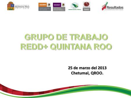 25 de marzo del 2013 Chetumal, QROO.. Agenda reunión de titulares GT-REDD+QROO Presentación de “zonas prioritarias para acciones tempranas REDD+QROO”.