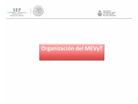 Organización del MEVyT