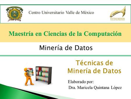 Técnicas de Minería de Datos Centro Universitario Valle de México Minería de Datos Dra. Maricela Quintana López Elaborado por: