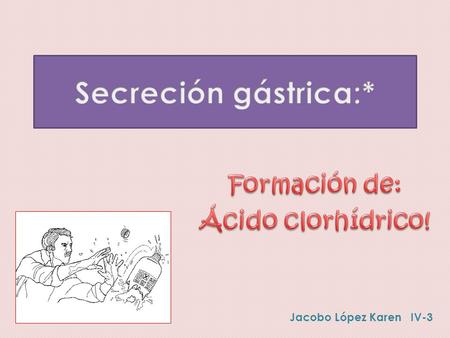 Jacobo López Karen IV-3. La mucosa gástrica posee dos tipos de glándulas tubulares importantes: las oxinticas (gástricas) y las pilóricas. Las oxinticas.