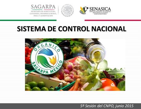 SISTEMA DE CONTROL NACIONAL 5ª Sesión del CNPO, junio 2015.