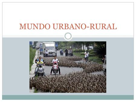MUNDO URBANO-RURAL.