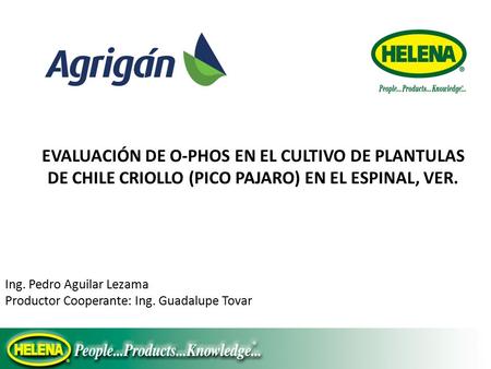 EVALUACIÓN DE O-PHOS EN EL CULTIVO DE PLANTULAS DE CHILE CRIOLLO (PICO PAJARO) EN EL ESPINAL, VER. Ing. Pedro Aguilar Lezama Productor Cooperante: Ing.