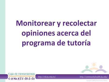 Monitorear y recolectar opiniones acerca del programa de tutoría.