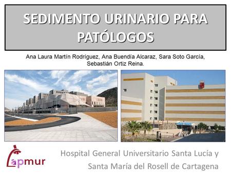 SEDIMENTO URINARIO PARA PATÓLOGOS