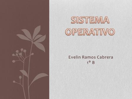 Evelin Ramos Cabrera 1° B