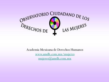Academia Mexicana de Derechos Humanos