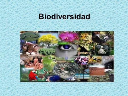 Biodiversidad.