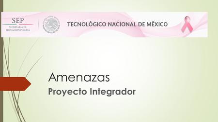 Amenazas Proyecto Integrador. Amenazas  La Economía del País y de las regiones (crisis económica).  Velocidad del Avance de la Tecnología.  Nivel Desarrollo.