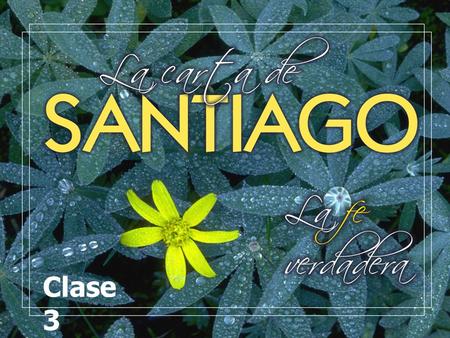 Clase 3.