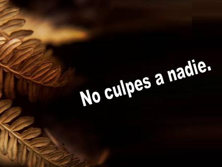No culpes a nadie..