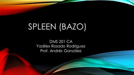 SPLEEN (BAZO) DMS 201 CA Yadilex Rosado Rodríguez Prof. Andrés González.