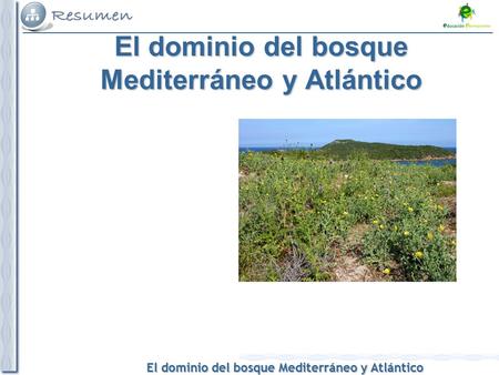 El dominio del bosque Mediterráneo y Atlántico