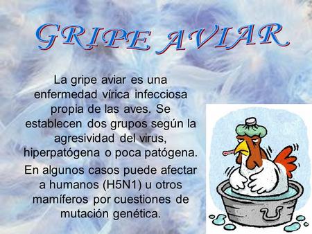 La gripe aviar es una enfermedad vírica infecciosa propia de las aves. Se establecen dos grupos según la agresividad del virus, hiperpatógena o poca patógena.