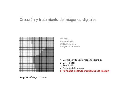 Creación y tratamiento de imágenes digitales