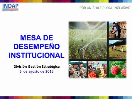 MESA DE DESEMPEÑO INSTITUCIONAL División Gestión Estratégica 6 de agosto de 2015.