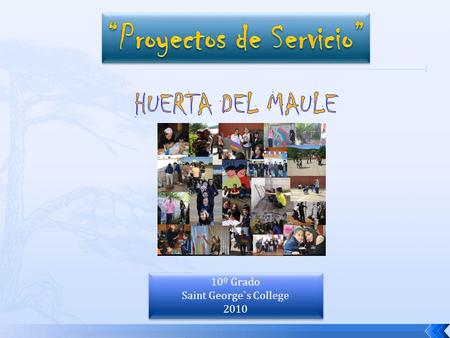 10º Grado Saint George`s College 2010 10º Grado Saint George`s College 2010.
