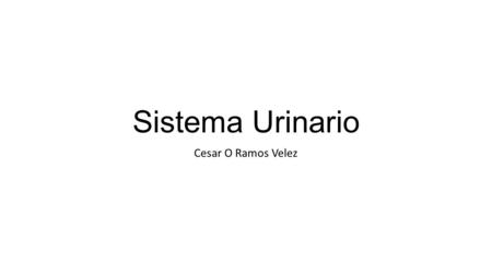 Sistema Urinario Cesar O Ramos Velez.