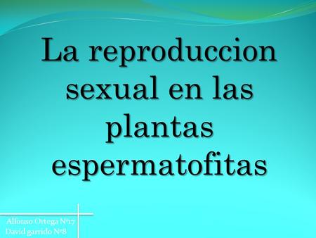 La reproduccion sexual en las plantas espermatofitas