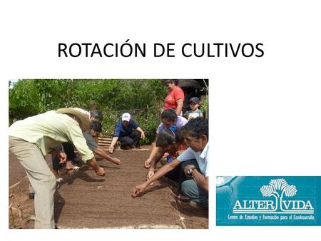 ROTACIÓN DE CULTIVOS.
