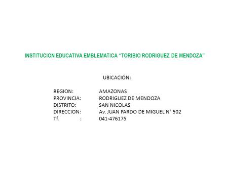 INSTITUCION EDUCATIVA EMBLEMATICA “TORIBIO RODRIGUEZ DE MENDOZA”