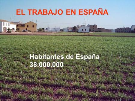 EL TRABAJO EN ESPAÑA Habitantes de España 38.000.000.