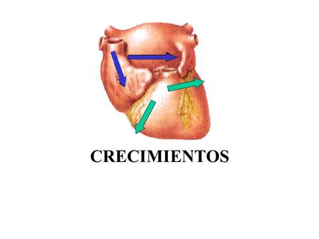 CRECIMIENTOS.