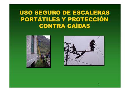 USO SEGURO DE ESCALERAS PORTÁTILES Y PROTECCIÓN CONTRA CAÍDAS