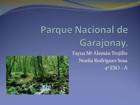 Fayna Mª Alemán Trujillo Noelia Rodríguez Sosa 4º ESO - A.
