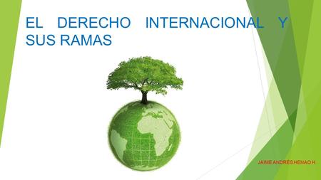 EL DERECHO INTERNACIONAL Y SUS RAMAS JAIME ANDRÉS HENAO H.