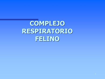 COMPLEJO RESPIRATORIO FELINO
