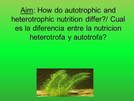 Aim: How do autotrophic and heterotrophic nutrition differ