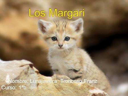 1. Sub especies Sub especies 2. Reproducción Reproducción 3. Descripción física Descripción física.