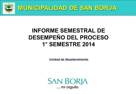 MUNICIPALIDAD DE SAN BORJA Unidad de Abastecimiento INFORME SEMESTRAL DE DESEMPEÑO DEL PROCESO 1° SEMESTRE 2014.