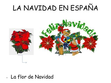 LA NAVIDAD EN ESPAÑA La flor de Navidad. Adornos y decoraciones El abeto navideño La estrella Las bolas ……….coloridas Las guirnaldas El pesebre=el belén.
