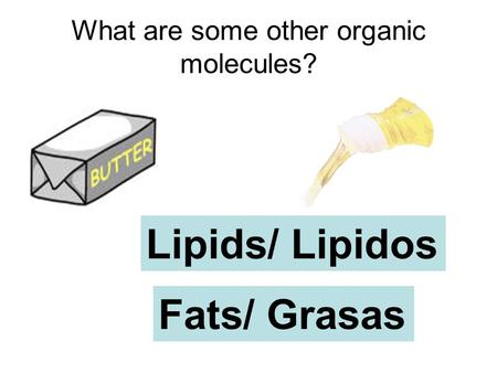 What are some other organic molecules? Lipids/ Lipidos Fats/ Grasas.