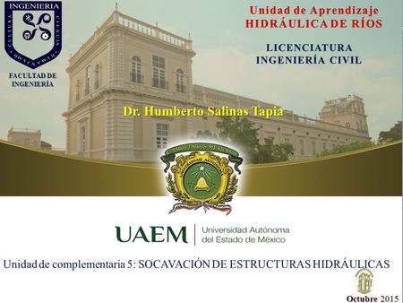 FACULTAD DE INGENIERÍA Dr. Humberto Salinas Tapia