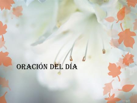Oración del día. dios deseo que tu amor nos envuelva con la inmensidad del mar y que sintiéramos en cada poro lo que no se como expresar…