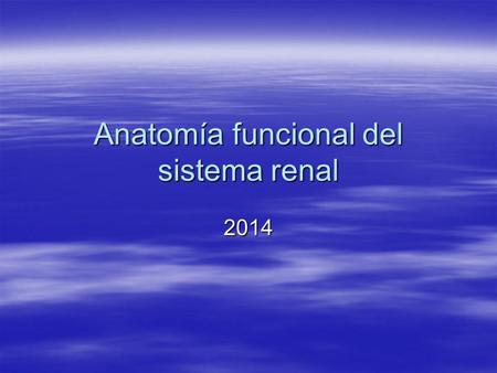 Anatomía funcional del sistema renal