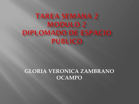 GLORIA VERONICA ZAMBRANO OCAMPO. En el Decreto 215 de 215” Por el cual se adopta el Plan Maestro de Espacio Público para Bogotá Distrito Capital, y se.