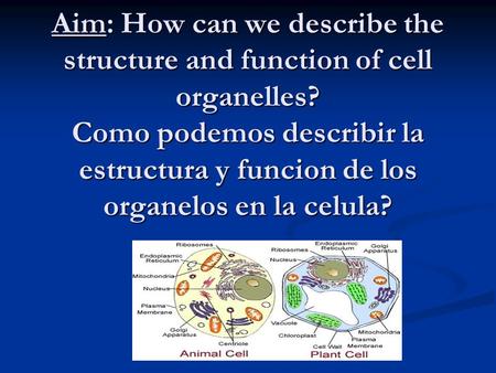 Aim: How can we describe the structure and function of cell organelles