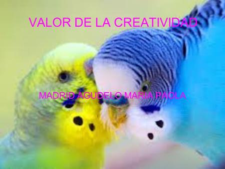 VALOR DE LA CREATIVIDAD MADRID AGUDELO MARIA PAOLA.