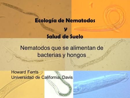 Nematodos que se alimentan de