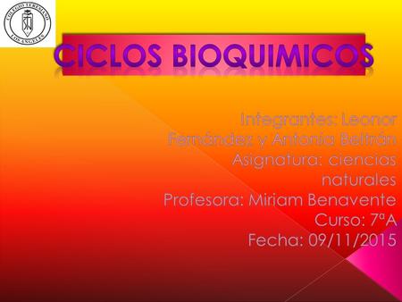CICLOS BIOQUIMICOS Integrantes: Leonor Fernández y Antonia Beltrán