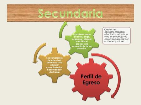 Secundaria Perfil de Egreso