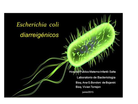 Escherichia coli diarreigénicos Laboratorio de Bacteriologia