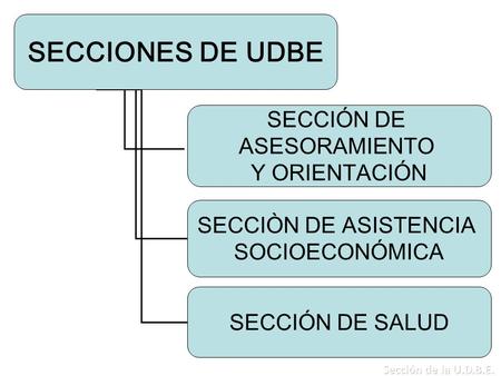 SECCIONES DE UDBE SECCIÓN DE ASESORAMIENTO Y ORIENTACIÓN SECCIÒN DE ASISTENCIA SOCIOECONÓMICA SECCIÓN DE SALUD.