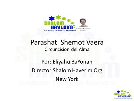 Director Shalom Haverim Org