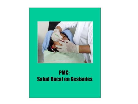 PMC: Salud Bucal en Gestantes. 1. Responsable: Ethel Orellana Salazar 2. Establecimiento: C.S Huaytara, CS Tambo, 11 Puestos de Salud de la MR Huaytará.